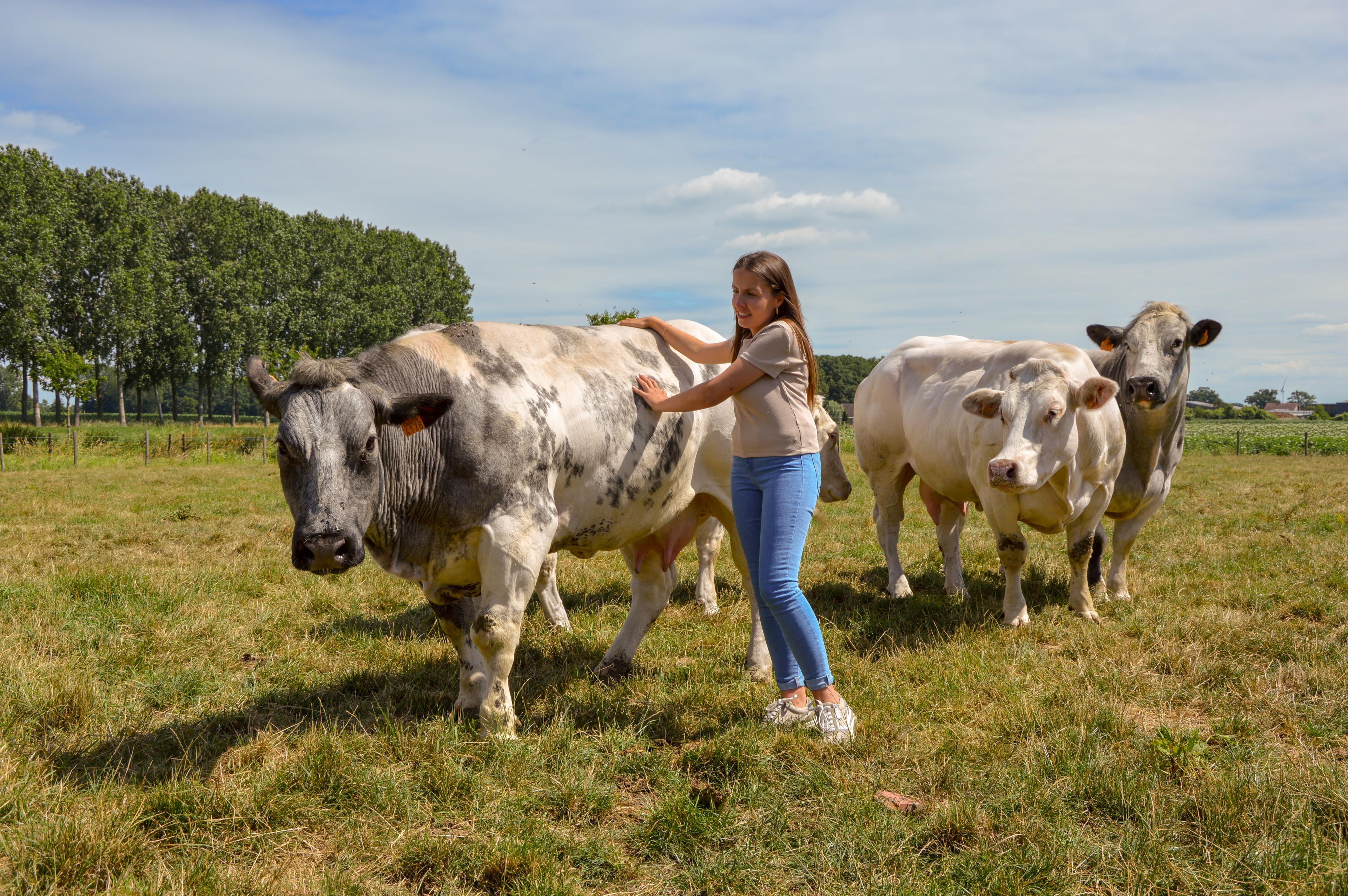 Atelier Pure - Wie zijn we